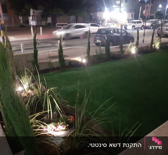 גינה עם דשא ירוק, עצים ופרחים מוארים